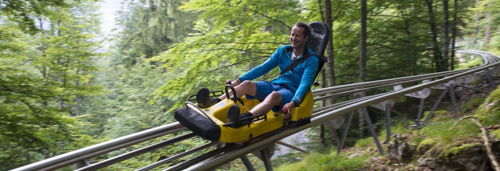 Cruising down the mountain Summer tobogganing Convention